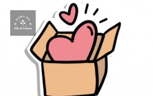 CHÍNH SÁCH ĐỔI TRẢ